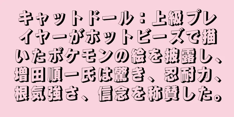 キャットドール：上級プレイヤーがホットビーズで描いたポケモンの絵を披露し、増田順一氏は驚き、忍耐力、根気強さ、信念を称賛した。