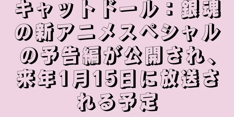 キャットドール：銀魂の新アニメスペシャルの予告編が公開され、来年1月15日に放送される予定