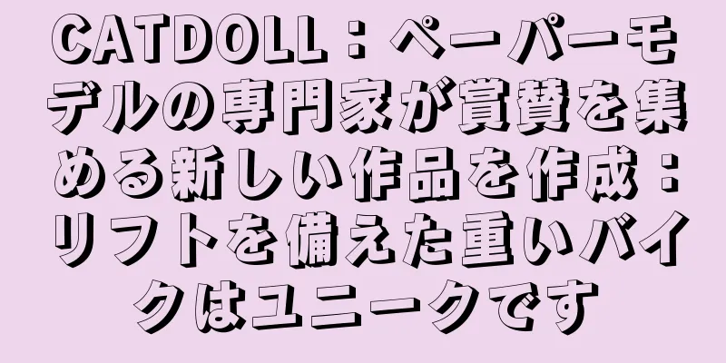 CATDOLL：ペーパーモデルの専門家が賞賛を集める新しい作品を作成：リフトを備えた重いバイクはユニークです