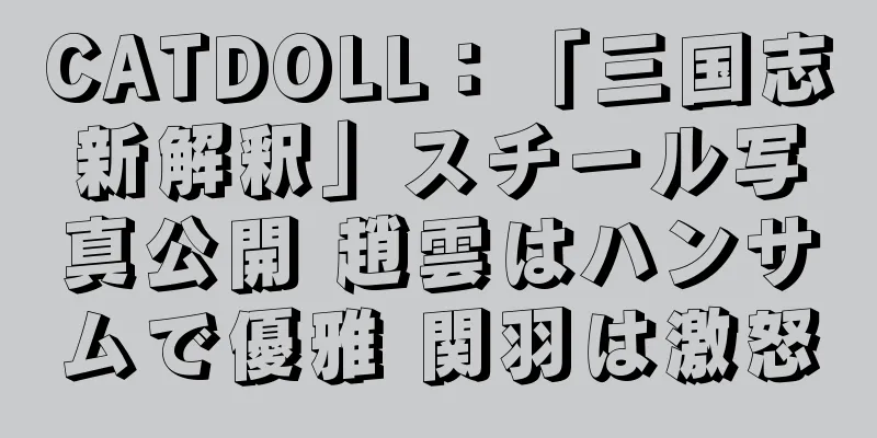 CATDOLL：「三国志新解釈」スチール写真公開 趙雲はハンサムで優雅 関羽は激怒