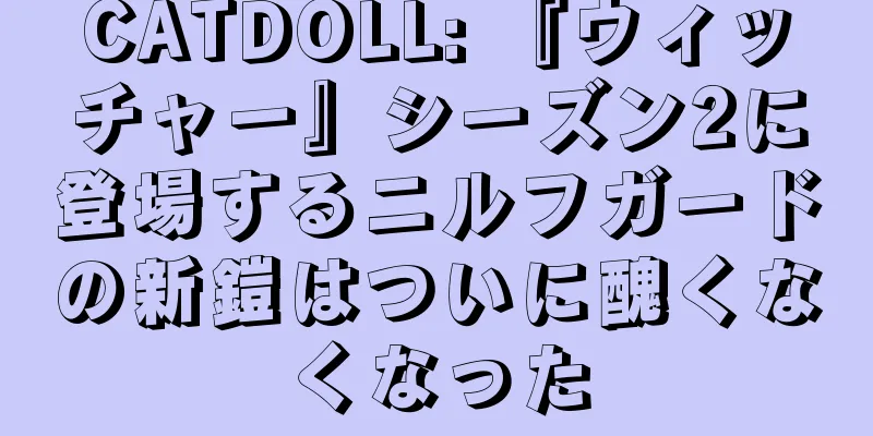 CATDOLL: 『ウィッチャー』シーズン2に登場するニルフガードの新鎧はついに醜くなくなった