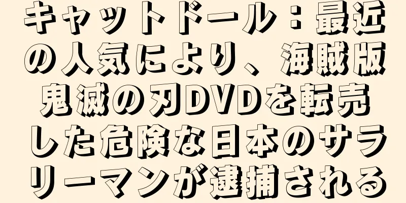 キャットドール：最近の人気により、海賊版鬼滅の刃DVDを転売した危険な日本のサラリーマンが逮捕される