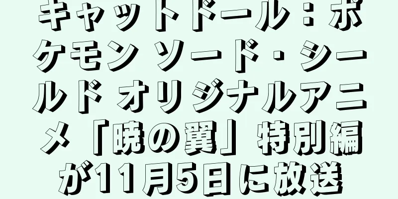 キャットドール：ポケモン ソード・シールド オリジナルアニメ「暁の翼」特別編が11月5日に放送
