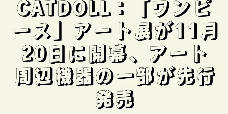 CATDOLL：「ワンピース」アート展が11月20日に開幕、アート周辺機器の一部が先行発売