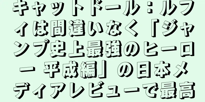 キャットドール：ルフィは間違いなく「ジャンプ史上最強のヒーロー 平成編」の日本メディアレビューで最高