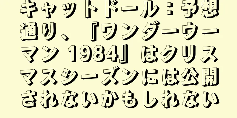 キャットドール：予想通り、『ワンダーウーマン 1984』はクリスマスシーズンには公開されないかもしれない
