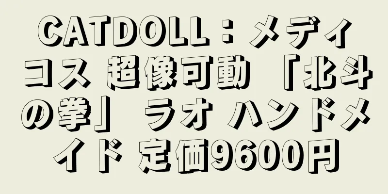 CATDOLL：メディコス 超像可動 「北斗の拳」 ラオ ハンドメイド 定価9600円