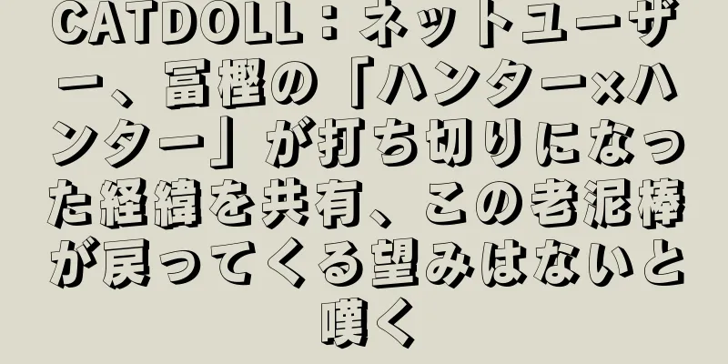 CATDOLL：ネットユーザー、冨樫の「ハンター×ハンター」が打ち切りになった経緯を共有、この老泥棒が戻ってくる望みはないと嘆く