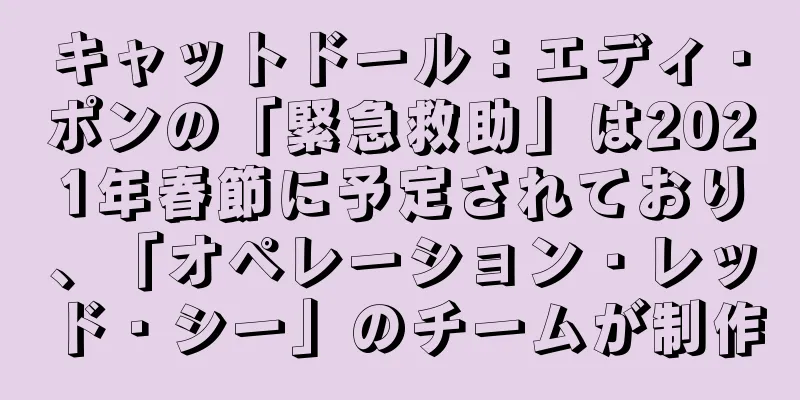 キャットドール：エディ・ポンの「緊急救助」は2021年春節に予定されており、「オペレーション・レッド・シー」のチームが制作