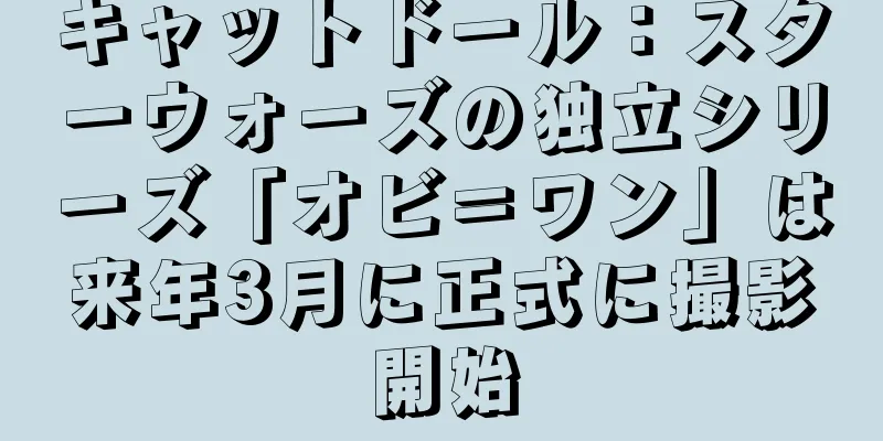 キャットドール：スターウォーズの独立シリーズ「オビ＝ワン」は来年3月に正式に撮影開始