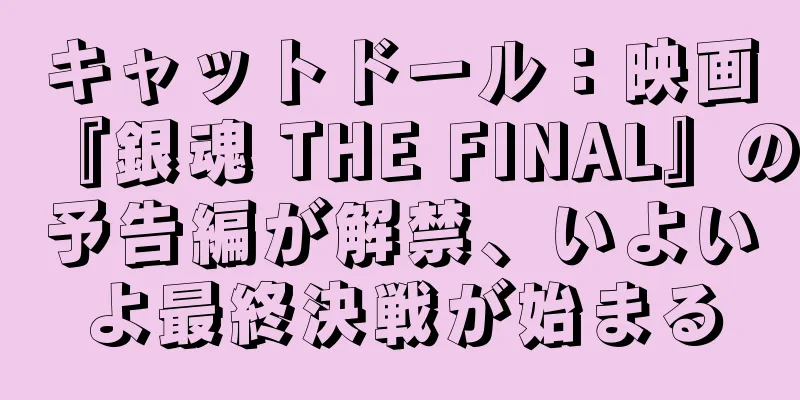 キャットドール：映画『銀魂 THE FINAL』の予告編が解禁、いよいよ最終決戦が始まる