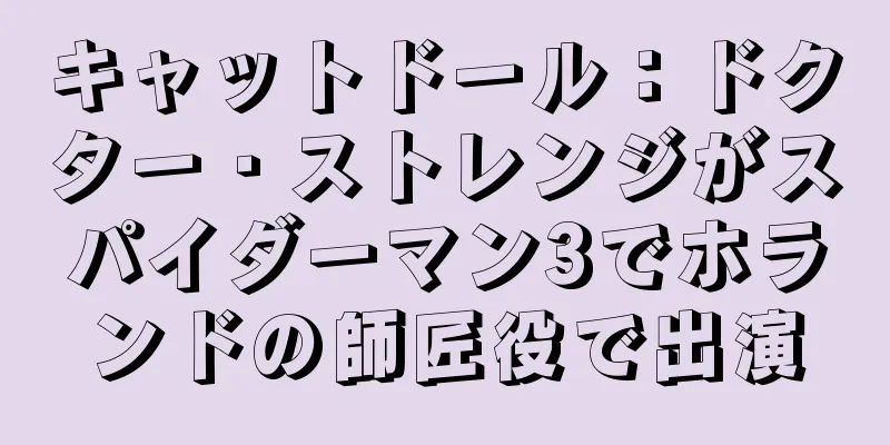 キャットドール：ドクター・ストレンジがスパイダーマン3でホランドの師匠役で出演