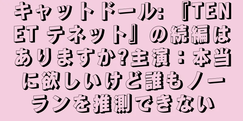 キャットドール: 『TENET テネット』の続編はありますか?主演：本当に欲しいけど誰もノーランを推測できない