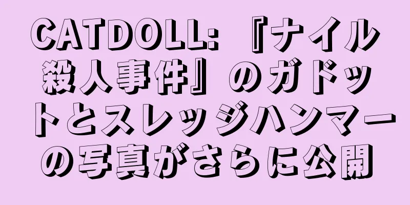CATDOLL: 『ナイル殺人事件』のガドットとスレッジハンマーの写真がさらに公開