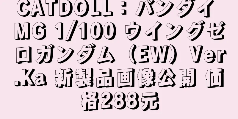 CATDOLL：バンダイ MG 1/100 ウイングゼロガンダム（EW）Ver.Ka 新製品画像公開 価格288元