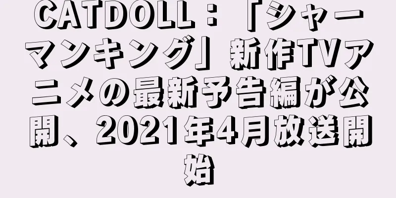 CATDOLL：「シャーマンキング」新作TVアニメの最新予告編が公開、2021年4月放送開始
