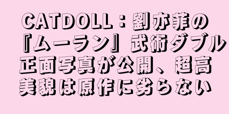 CATDOLL：劉亦菲の『ムーラン』武術ダブル正面写真が公開、超高美貌は原作に劣らない