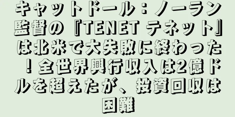 キャットドール：ノーラン監督の『TENET テネット』は北米で大失敗に終わった！全世界興行収入は2億ドルを超えたが、投資回収は困難