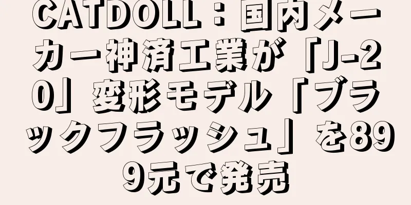 CATDOLL：国内メーカー神済工業が「J-20」変形モデル「ブラックフラッシュ」を899元で発売
