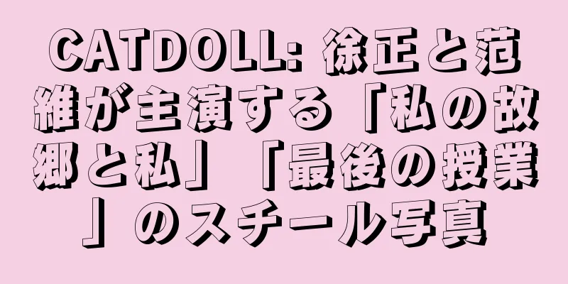 CATDOLL: 徐正と范維が主演する「私の故郷と私」「最後の授業」のスチール写真