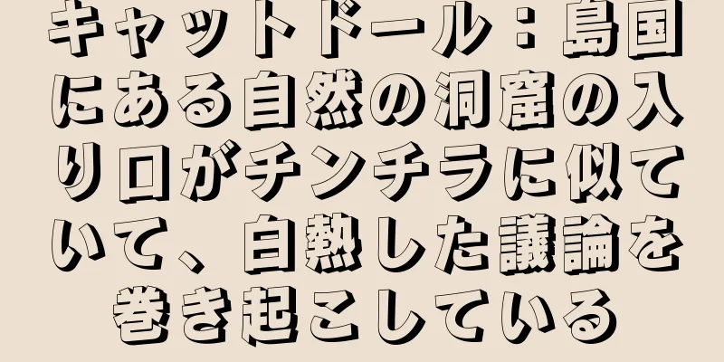 キャットドール：島国にある自然の洞窟の入り口がチンチラに似ていて、白熱した議論を巻き起こしている