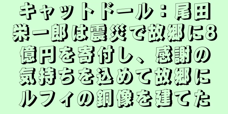 キャットドール：尾田栄一郎は震災で故郷に8億円を寄付し、感謝の気持ちを込めて故郷にルフィの銅像を建てた
