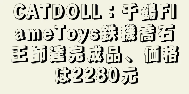 CATDOLL：千鶴FlameToys鉄機喬石王師達完成品、価格は2280元