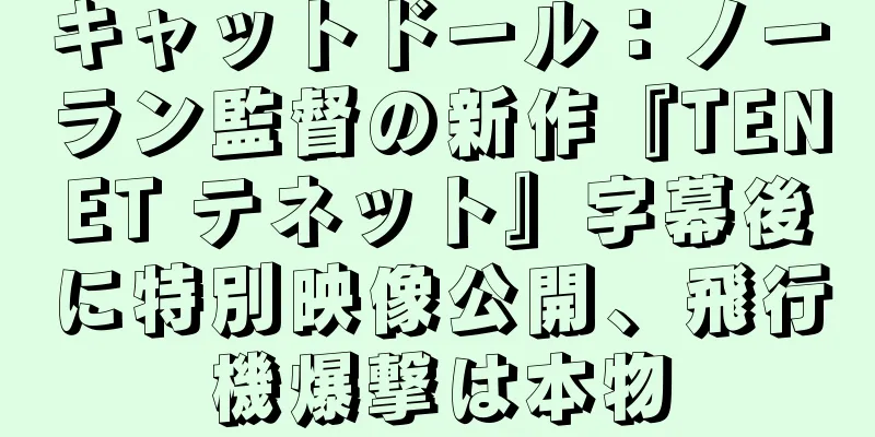 キャットドール：ノーラン監督の新作『TENET テネット』字幕後に特別映像公開、飛行機爆撃は本物