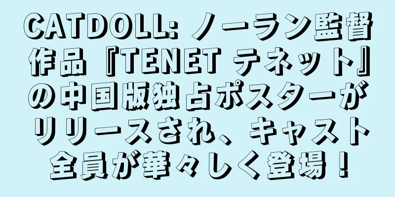 CATDOLL: ノーラン監督作品『TENET テネット』の中国版独占ポスターがリリースされ、キャスト全員が華々しく登場！