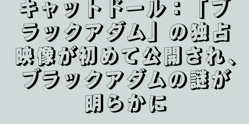 キャットドール：「ブラックアダム」の独占映像が初めて公開され、ブラックアダムの謎が明らかに