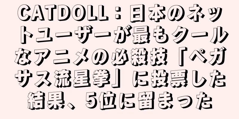 CATDOLL：日本のネットユーザーが最もクールなアニメの必殺技「ペガサス流星拳」に投票した結果、5位に留まった