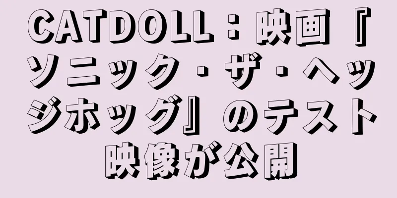 CATDOLL：映画『ソニック・ザ・ヘッジホッグ』のテスト映像が公開