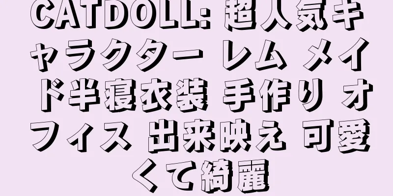 CATDOLL: 超人気キャラクター レム メイド半寝衣装 手作り オフィス 出来映え 可愛くて綺麗