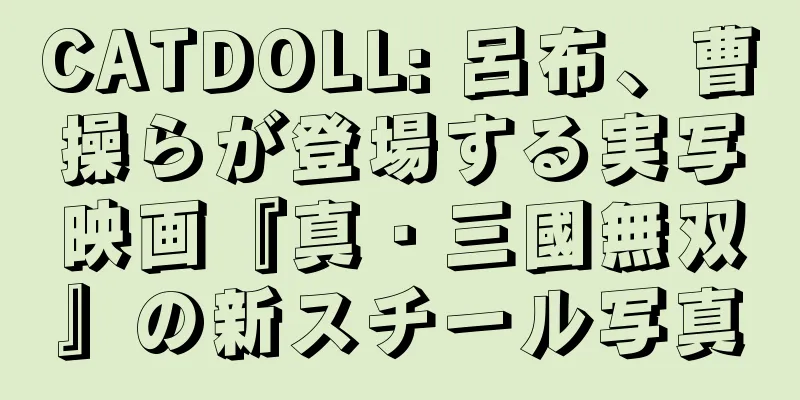 CATDOLL: 呂布、曹操らが登場する実写映画『真・三國無双』の新スチール写真