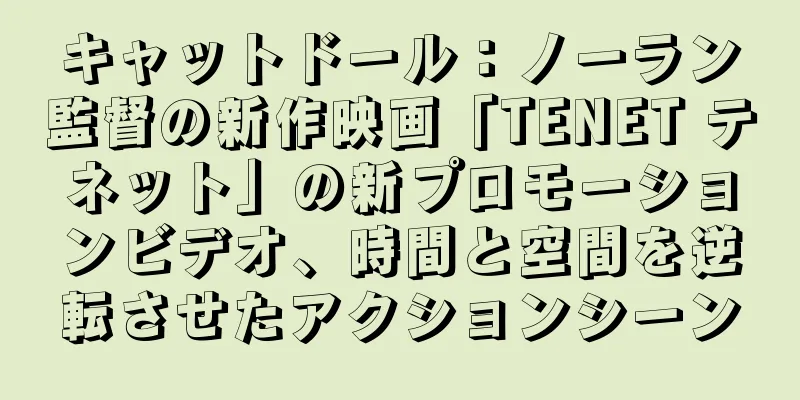 キャットドール：ノーラン監督の新作映画「TENET テネット」の新プロモーションビデオ、時間と空間を逆転させたアクションシーン