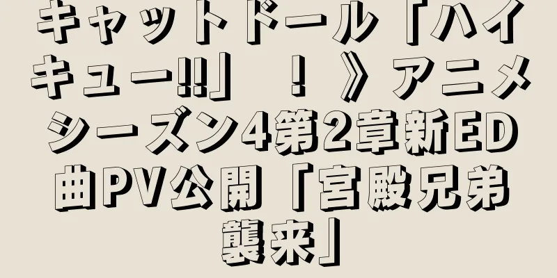 キャットドール「ハイキュー!!」 ！ 》アニメシーズン4第2章新ED曲PV公開「宮殿兄弟襲来」