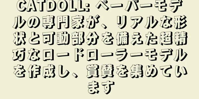 CATDOLL: ペーパーモデルの専門家が、リアルな形状と可動部分を備えた超精巧なロードローラーモデルを作成し、賞賛を集めています