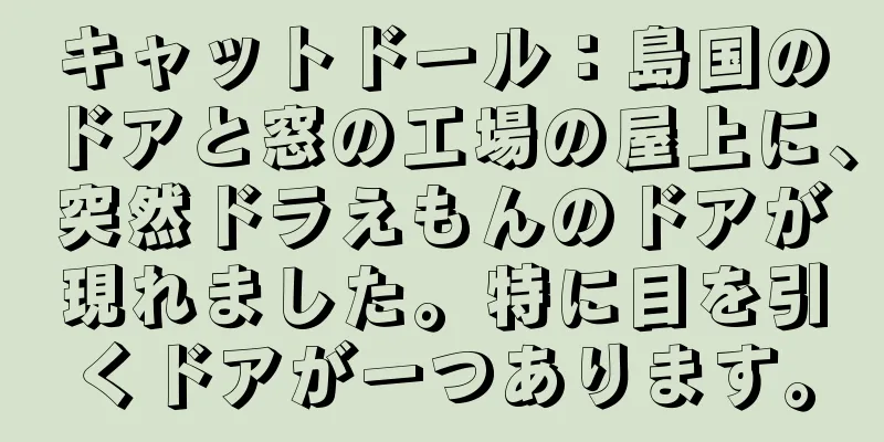 キャットドール：島国のドアと窓の工場の屋上に、突然ドラえもんのドアが現れました。特に目を引くドアが一つあります。