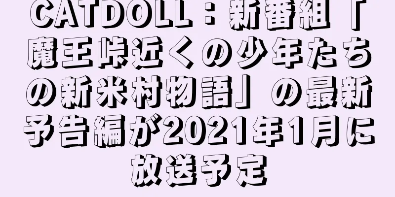 CATDOLL：新番組「魔王峠近くの少年たちの新米村物語」の最新予告編が2021年1月に放送予定