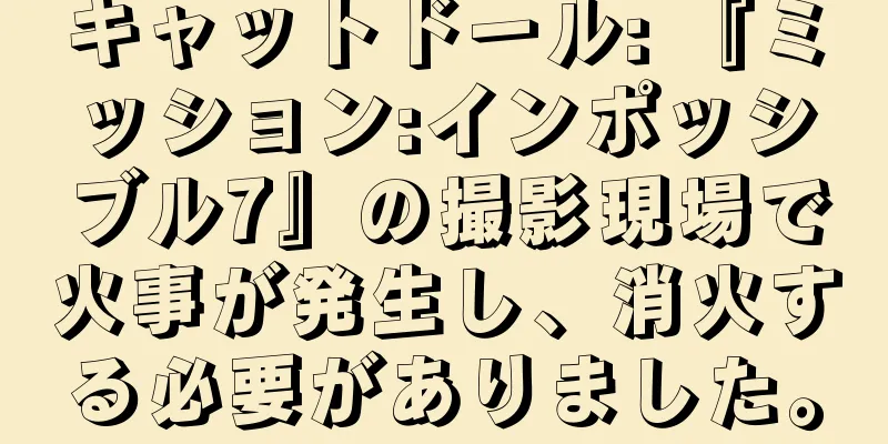 キャットドール: 『ミッション:インポッシブル7』の撮影現場で火事が発生し、消火する必要がありました。