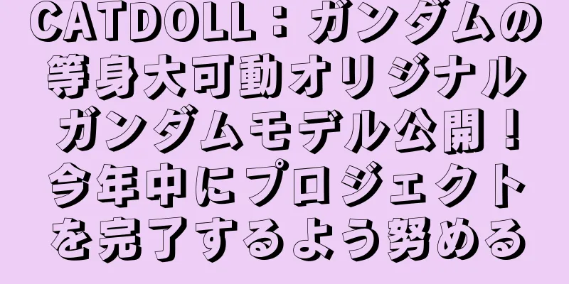 CATDOLL：ガンダムの等身大可動オリジナルガンダムモデル公開！今年中にプロジェクトを完了するよう努める