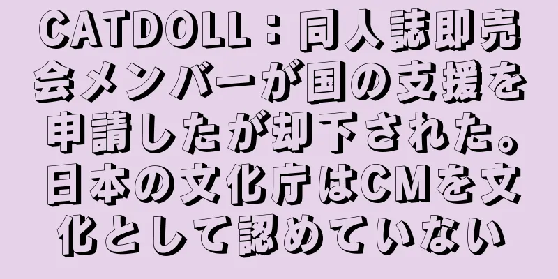 CATDOLL：同人誌即売会メンバーが国の支援を申請したが却下された。日本の文化庁はCMを文化として認めていない
