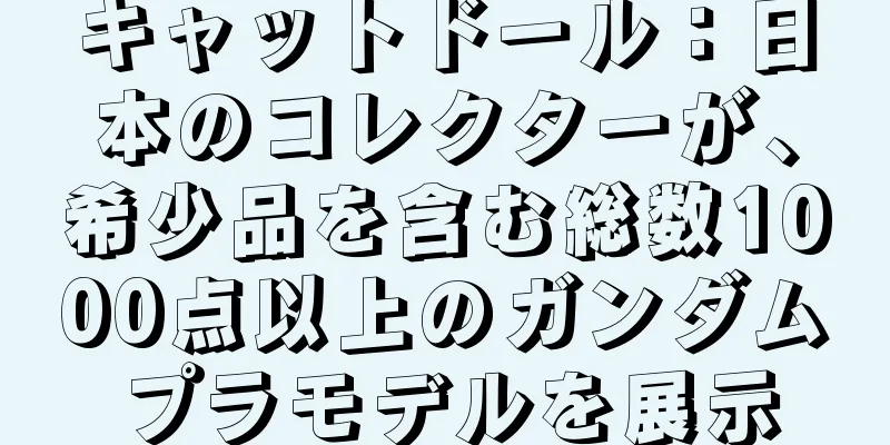 キャットドール：日本のコレクターが、希少品を含む総数1000点以上のガンダムプラモデルを展示