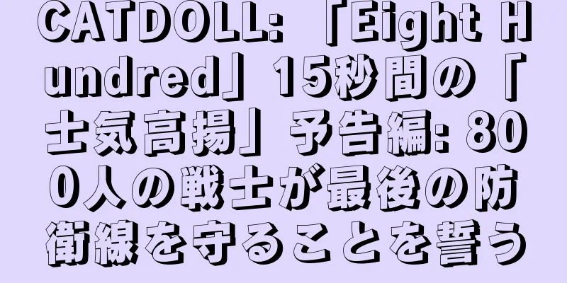 CATDOLL: 「Eight Hundred」15秒間の「士気高揚」予告編: 800人の戦士が最後の防衛線を守ることを誓う