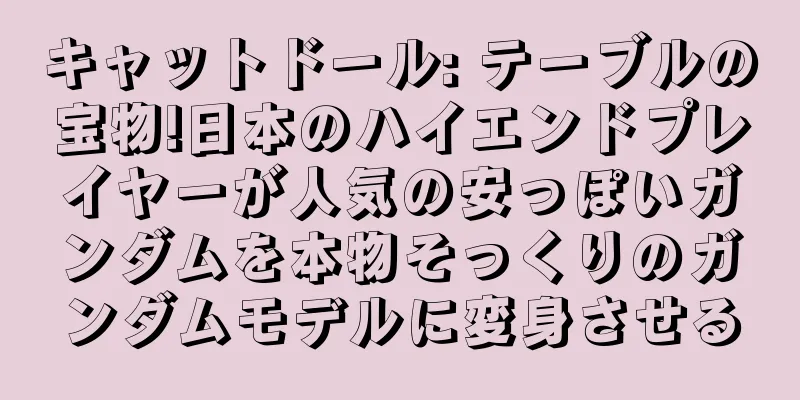 キャットドール: テーブルの宝物!日本のハイエンドプレイヤーが人気の安っぽいガンダムを本物そっくりのガンダムモデルに変身させる