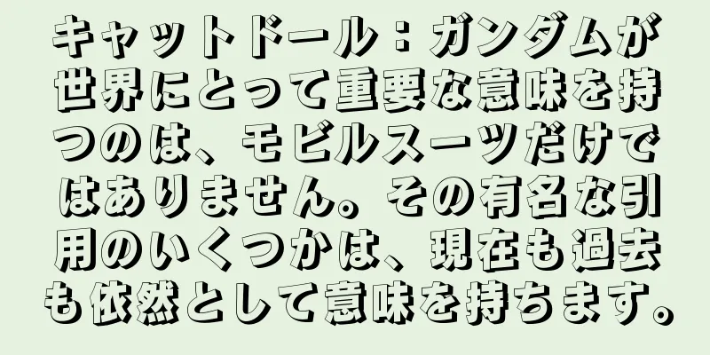 キャットドール：ガンダムが世界にとって重要な意味を持つのは、モビルスーツだけではありません。その有名な引用のいくつかは、現在も過去も依然として意味を持ちます。