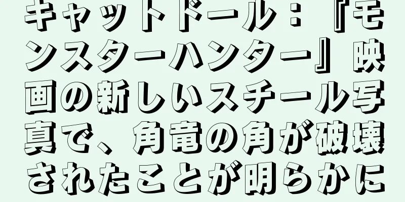 キャットドール：『モンスターハンター』映画の新しいスチール写真で、角竜の角が破壊されたことが明らかに