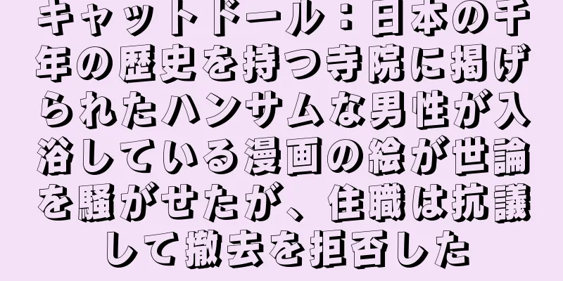 キャットドール：日本の千年の歴史を持つ寺院に掲げられたハンサムな男性が入浴している漫画の絵が世論を騒がせたが、住職は抗議して撤去を拒否した