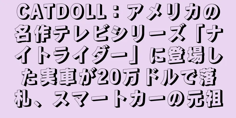 CATDOLL：アメリカの名作テレビシリーズ「ナイトライダー」に登場した実車が20万ドルで落札、スマートカーの元祖