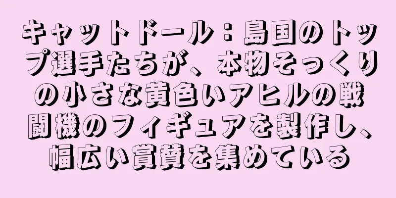 キャットドール：島国のトップ選手たちが、本物そっくりの小さな黄色いアヒルの戦闘機のフィギュアを製作し、幅広い賞賛を集めている
